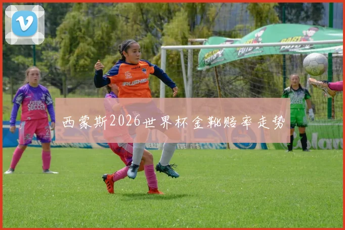 西蒙斯2026世界杯金靴赔率走势