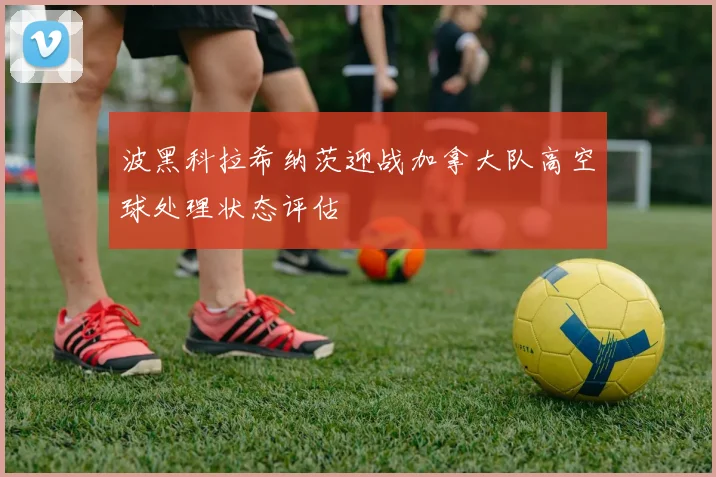 波黑科拉希纳茨迎战加拿大队高空球处理状态评估