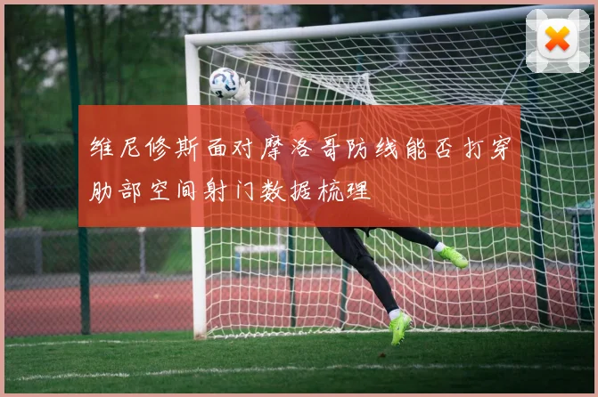 维尼修斯面对摩洛哥防线能否打穿肋部空间射门数据梳理