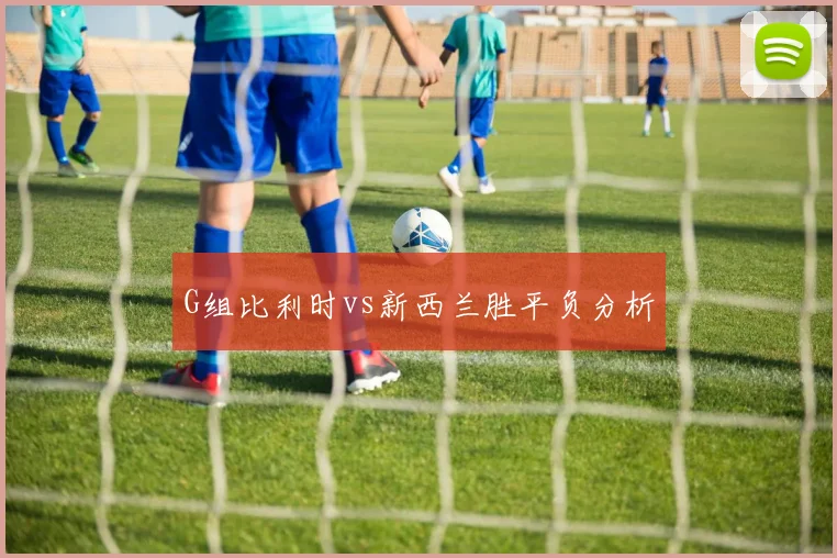 G组比利时vs新西兰胜平负分析
