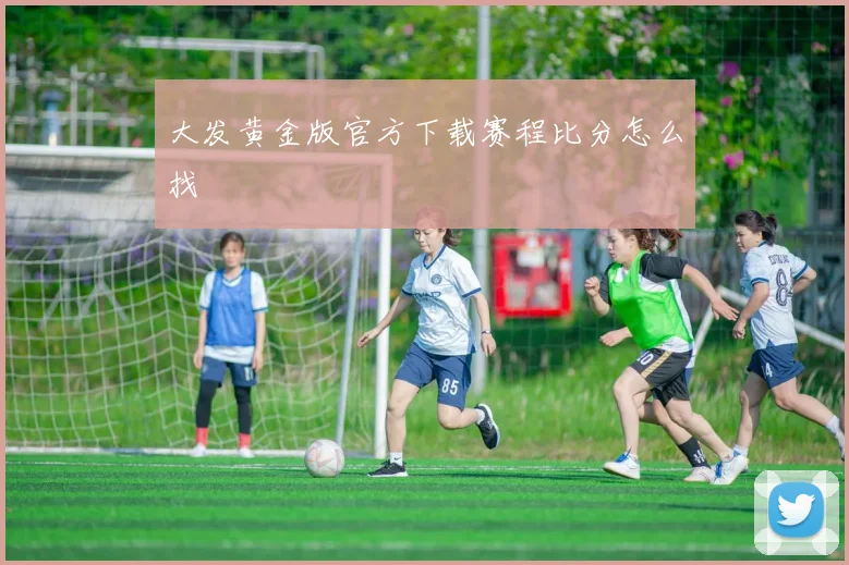 大发黄金版官方下载赛程比分怎么找