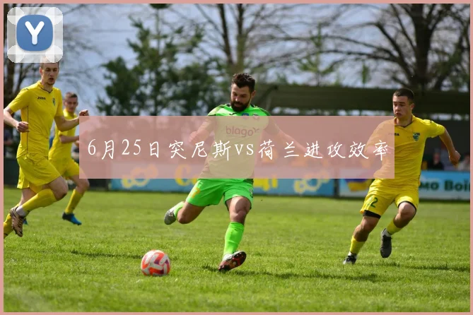 6月25日突尼斯vs荷兰进攻效率