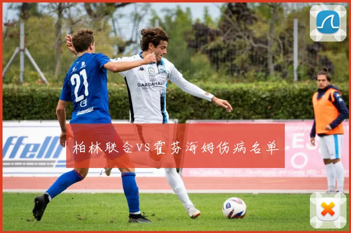柏林联合vs霍芬海姆伤病名单